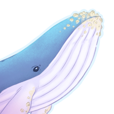 Sous la mer - Illustration cartoon pour une série de t-shirt basé sur les animaux marins et pour celui-ci les baleines